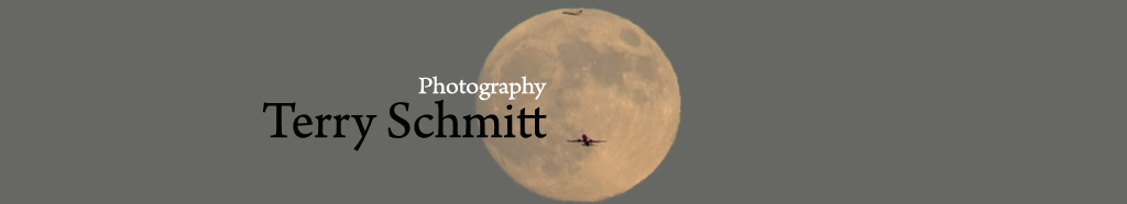 Banner 1